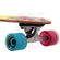 Skate-Cruiser-Globe-Neff-Wild-Tigre-33- Skate-Cruiser-Globe-Neff-Wild-Tigre-33-