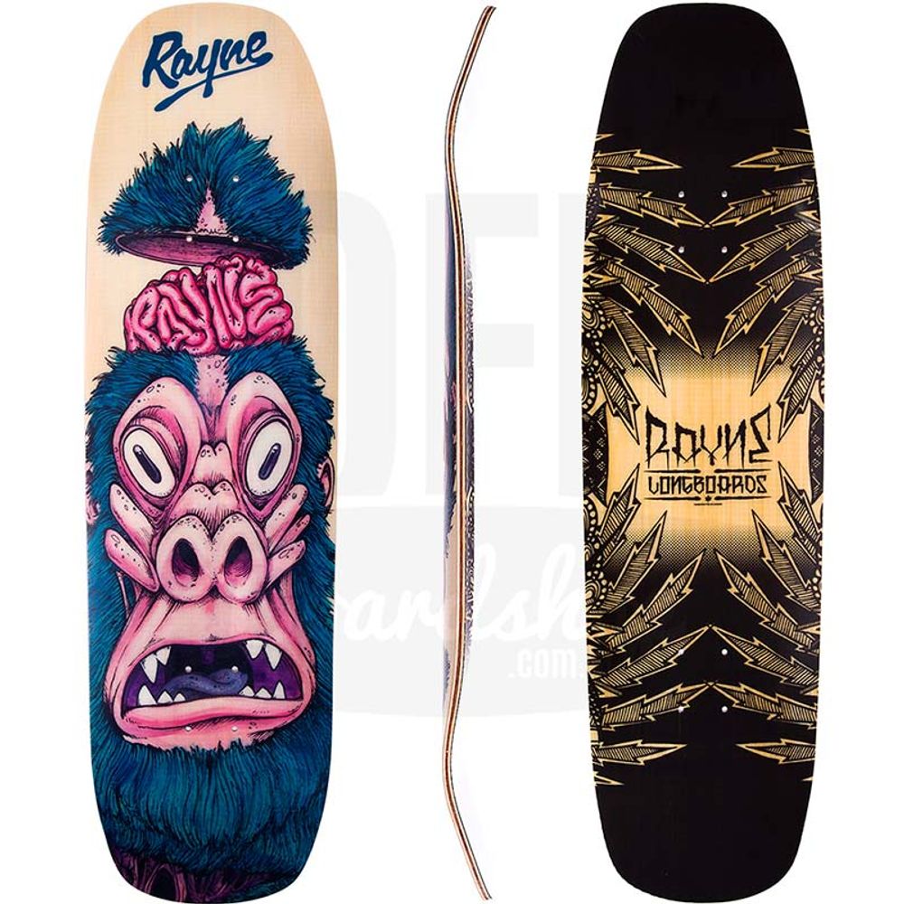 Shape-Rayne-Catalyst-Monkey-Brains-32 Shape-Rayne-Catalyst-Monkey-Brains-32