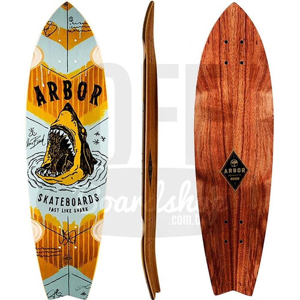 Shape-Arbor-Sizzler-Shark-31-01 Shape-Arbor-Sizzler-Shark-31-01
