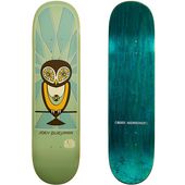 Shape-Alien-Workshop-Joey-Guevara-Owl-01