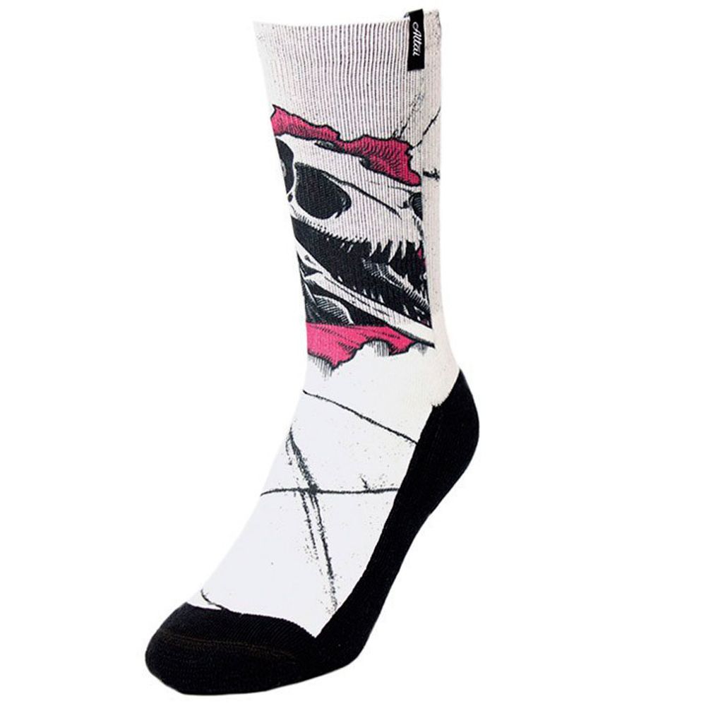 Meia-Altai-Dino-Skeleton-01.jpg Meia-Altai-Dino-Skeleton-01.jpg